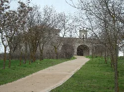 Stone path and trees lead to the chapel in Velliza.