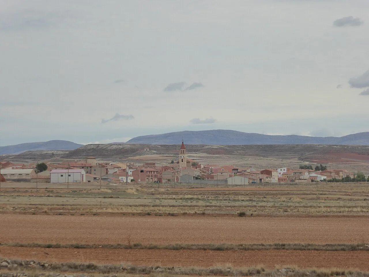 Celadas