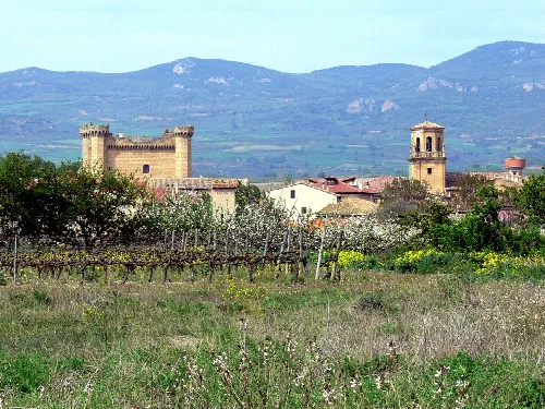 Vista de Sajazarra con castillo, iglesia y viñedos.