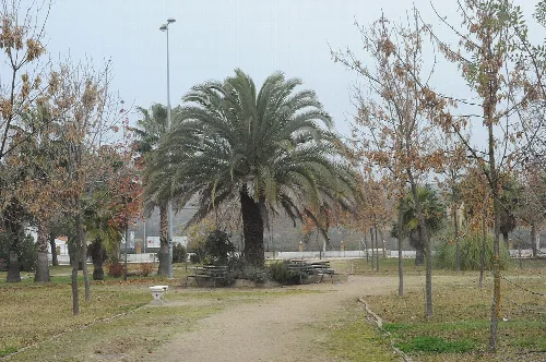 Jardín Botánico de Riolobos, (Cáceres)