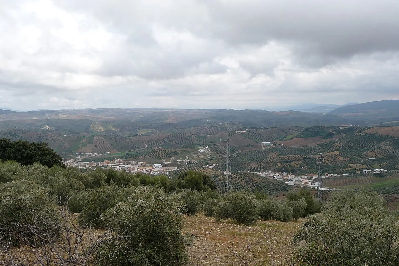 Landscape with hills, vegetation, and farmland in Algámitas, Seville.
