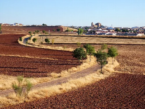 Schotterweg umgeben von Feldern und Bäumen, mit Torre de Juan Abad im Hintergrund.