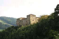 Stone castle on a hill surrounded by trees and vegetation.