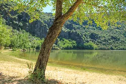 Río con árboles y playa arenosa en Castilla y León.