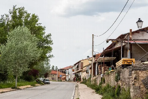 Hauptstraße von Casarejos mit Häusern und Bäumen.