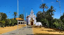 Path with palm trees and a white church in the center in Posadas.