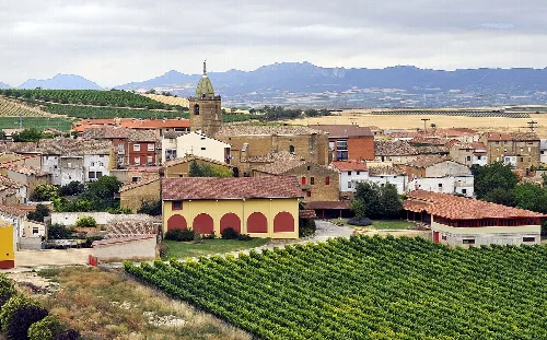 Pueblo de Rodezno con iglesia y viñedos en primer plano.