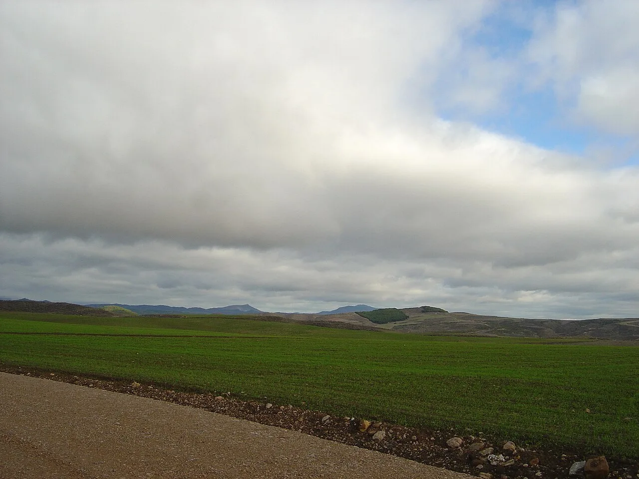 Paisaje con Montejurra en el fondo y campos verdes en primer plano.