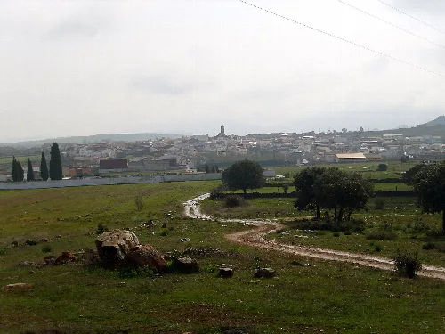 Rural landscape with dirt road, trees, and distant town.
