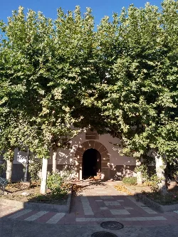 Entrance of a church with a large leafy tree in front.