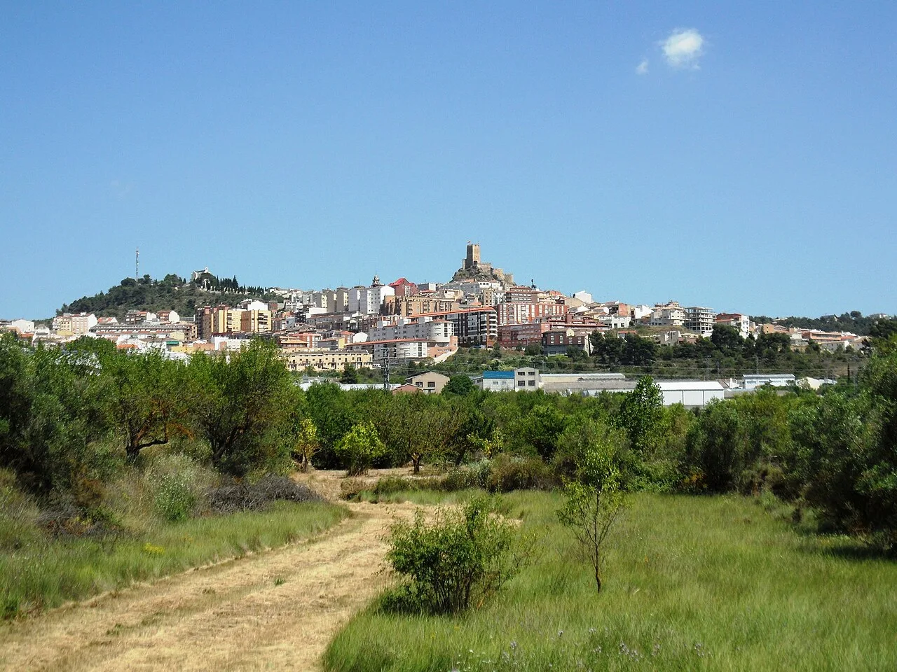 Landscape with dirt path, trees, and city view in the background.