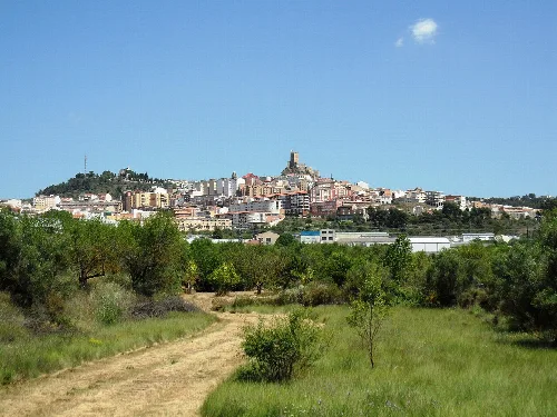 Landscape with dirt path, trees, and city view in the background.