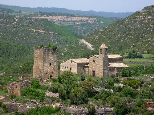 Conjunt del Castell  i Sant Martí de Riner, vist des de prop de la masia Casamartina