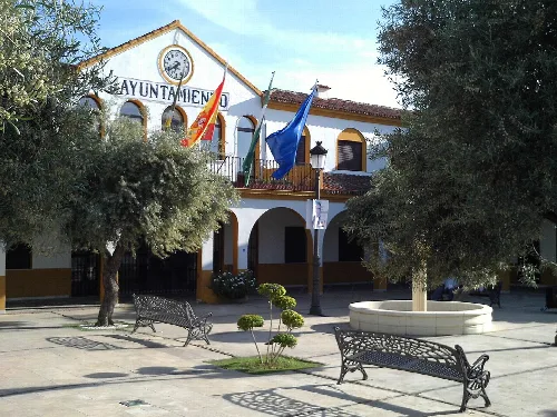 Plaza con árboles, bancos y un edificio con banderas y reloj.