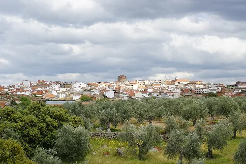 Panoramic view of Aldeanueva de Barbarroya with church in the center and olive groves.