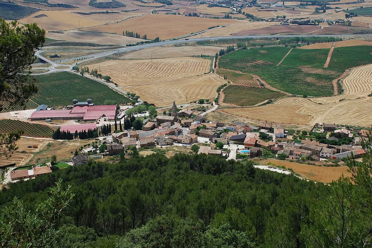 Aerial view of a village with fields and forests in Navarra.