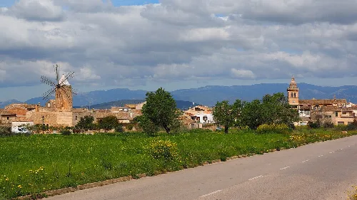 Landschaft von Algaida mit Windmühlen und Häusern auf den Balearen