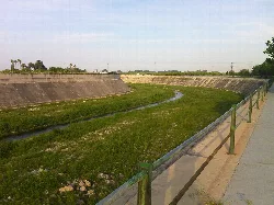 Río Magro con cauce ancho y vegetación en Algemesí.