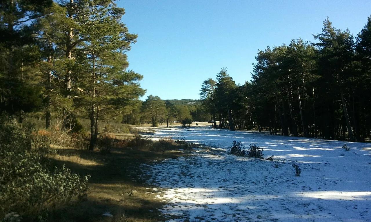 Paraje entre Bronchales y Orihuela, en los Montes Universales.Tremedales de Orihuela