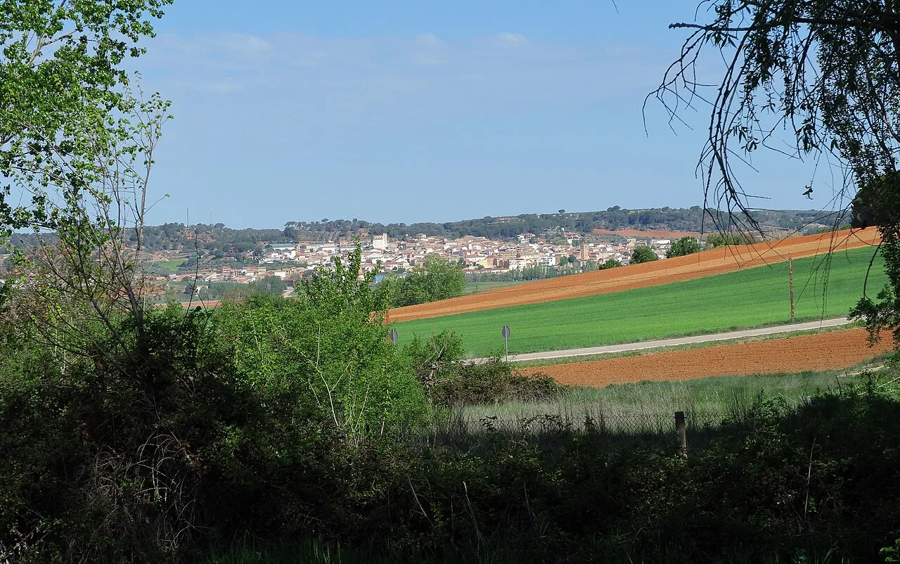 Ländliche Landschaft mit grünen Feldern und Ackerland, Blick auf Valverde de Júcar von Hontecillas.