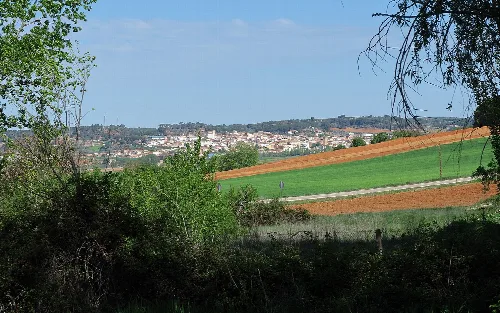Ländliche Landschaft mit grünen Feldern und Ackerland, Blick auf Valverde de Júcar von Hontecillas.