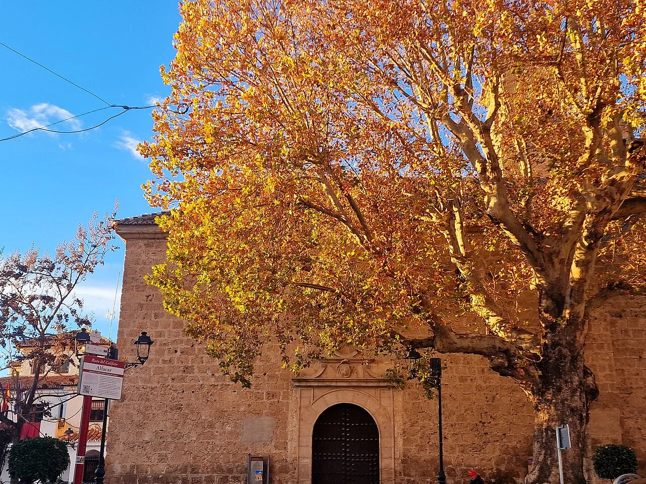 Iglesia de Nuestra Señora de la Asunción y un árbol con hojas doradas en Alfacar.