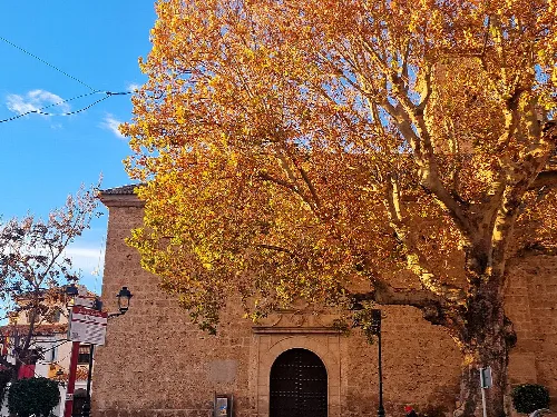 Kirche Unserer Lieben Frau der Himmelfahrt und ein Baum mit goldenen Blättern in Alfacar.
