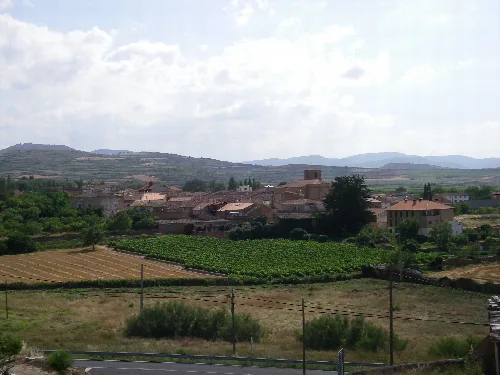 Vista de un pueblo con casas y campos de viñedos en un paisaje rural.