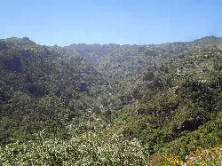 Paisaje de montañas verdes y un valle en Valleseco