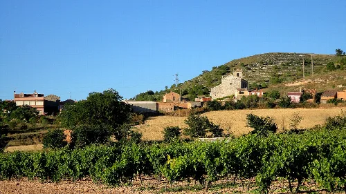 Roturas. Viñedos e Iglesia. Valladolid. Comunidad de Villa y Tierra de Curiel