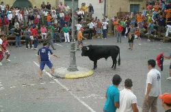 Toro negro en la plaza rodeado de personas durante las fiestas