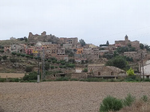 Oliola