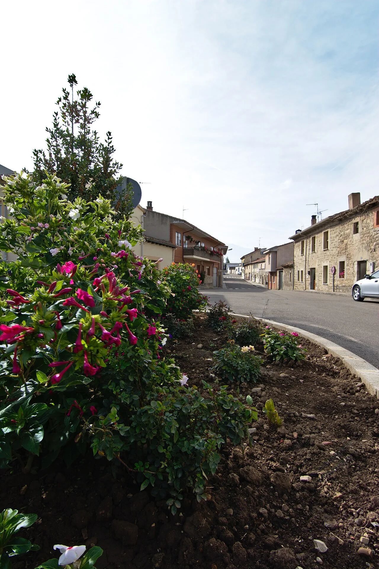 Rotonda con flores y casas en Villalbilla de Burgos
