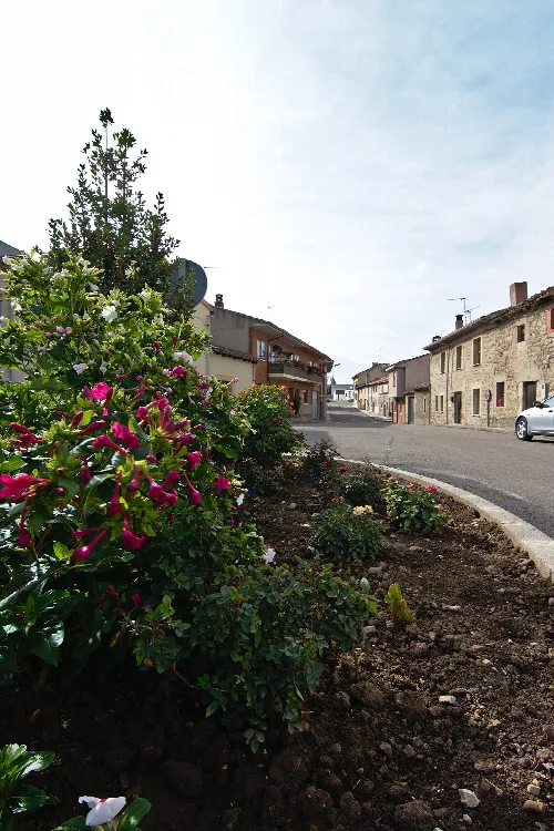 Roundabout with flowers and houses in Villalbilla de Burgos