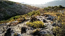 Ruins of an ancient necropolis in a mountainous area with vegetation.