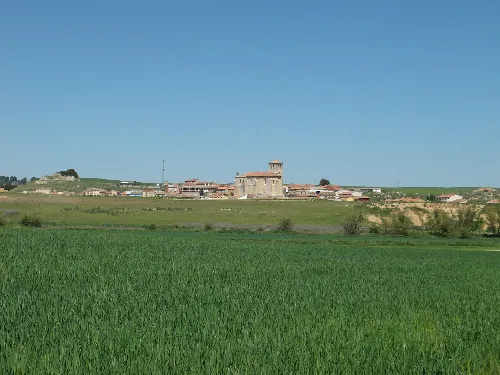 Paisaje de Mucientes con iglesia y casas en el fondo, rodeada de campos verdes.