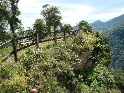 Valla de madera y vegetación en un mirador en Peñarrubia, Cantabria.