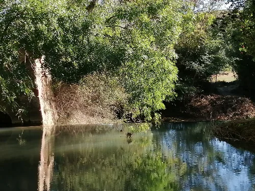Gualaviar-Fluss mit Bäumen und Wasserreflexion.
