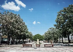 Árboles y bancos en el parque de Andalucía en Cañete de las Torres.