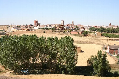 Vista panorámica de Mayorga con árboles en primer plano y edificios en el fondo.