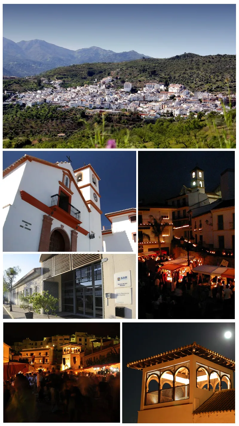 Guaro Collage