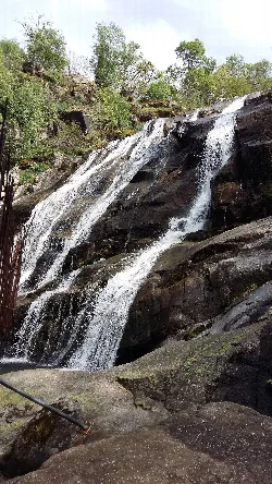 Cascada de agua cayendo por rocas en un entorno natural.