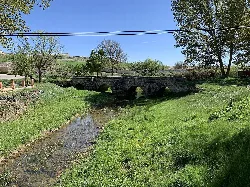 Stone bridge with three arches over a river surrounded by vegetation.