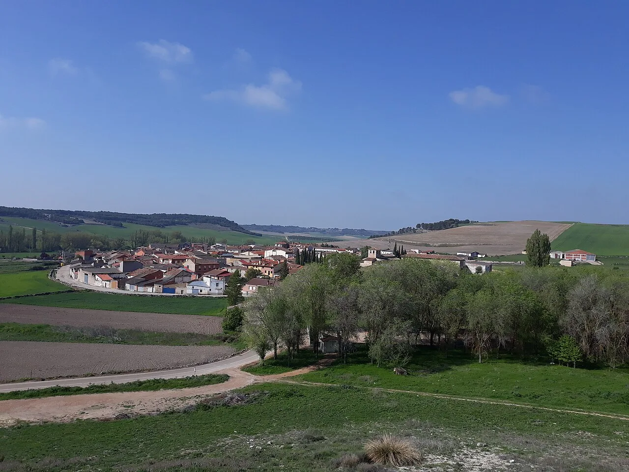 Landscape with houses, trees, and fields in Wamba.