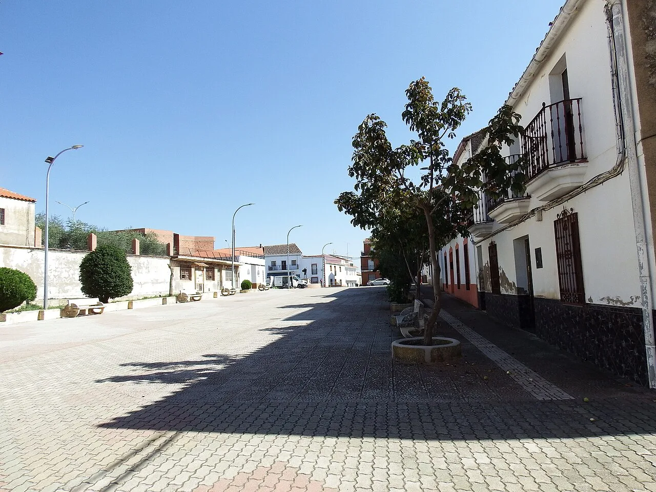 Straße in Almadenejos mit Bäumen und weißen Häusern.