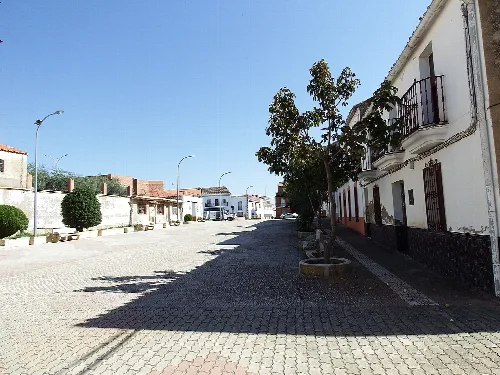 Straße in Almadenejos mit Bäumen und weißen Häusern.