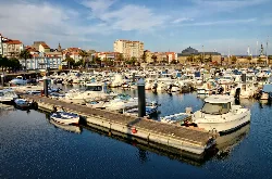 Several boats in Ferrol port with buildings and palm trees behind.