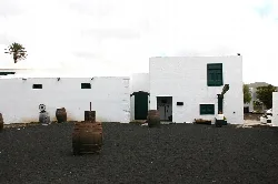 The El Grifo winery building with white walls and black volcanic ground.