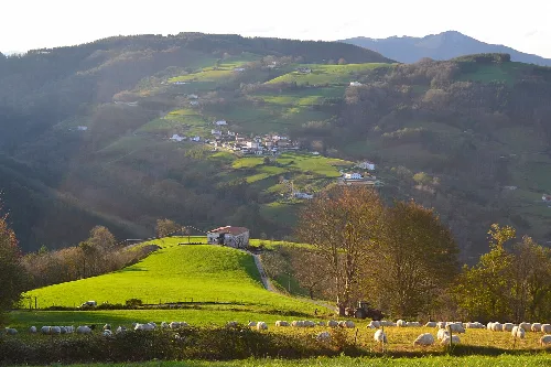 Baliarrain, Gipuzkoa. Euskal Herria.
Baliarrain, Gipuzkoa. Basque Country.