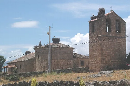 Storks nesting on the roofs of the church of Santa María de los Caballeros, Province of Ávila, Castilia y Leon, Spain